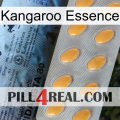 Kangaroo Essence 44